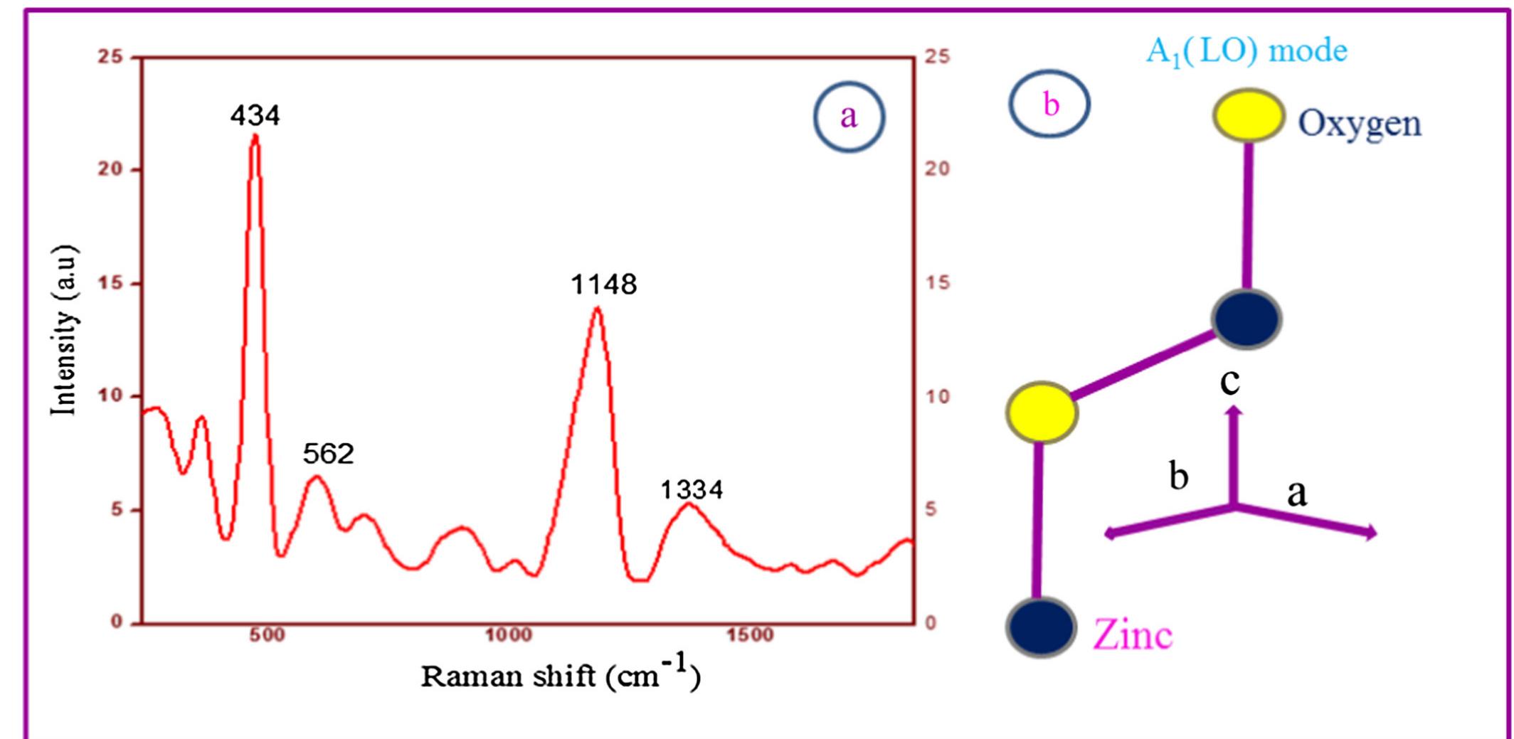 Raman spectra of (a) synthesized zno nps and (b)