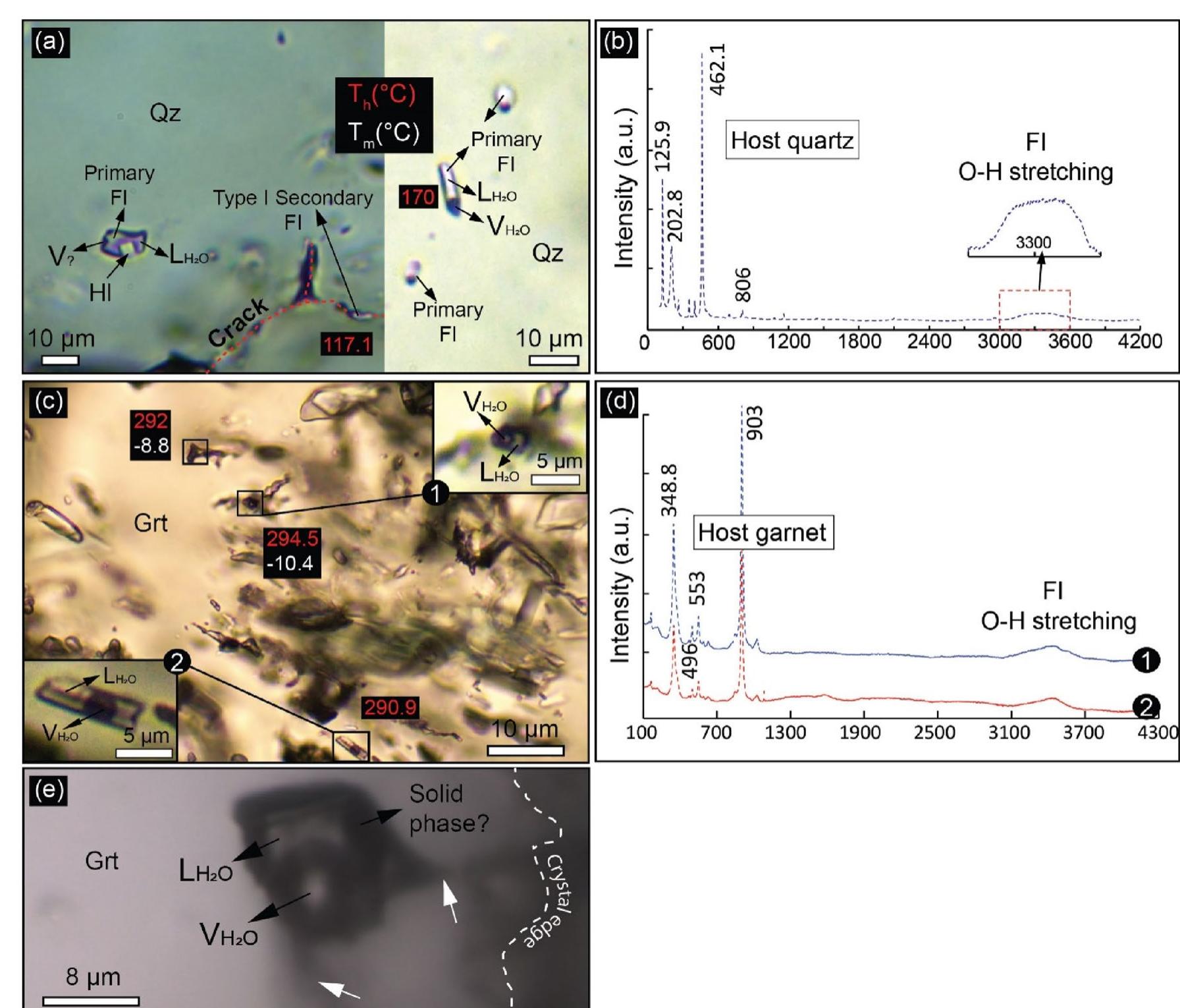 Multiphase Inclusions (PDF) Multiphase-solid fluid inclusions in HP-LT eclogite facies rock ...