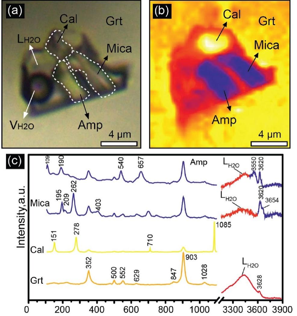 Multiphase Inclusions (PDF) Multiphase-solid fluid inclusions in HP-LT eclogite facies rock ...