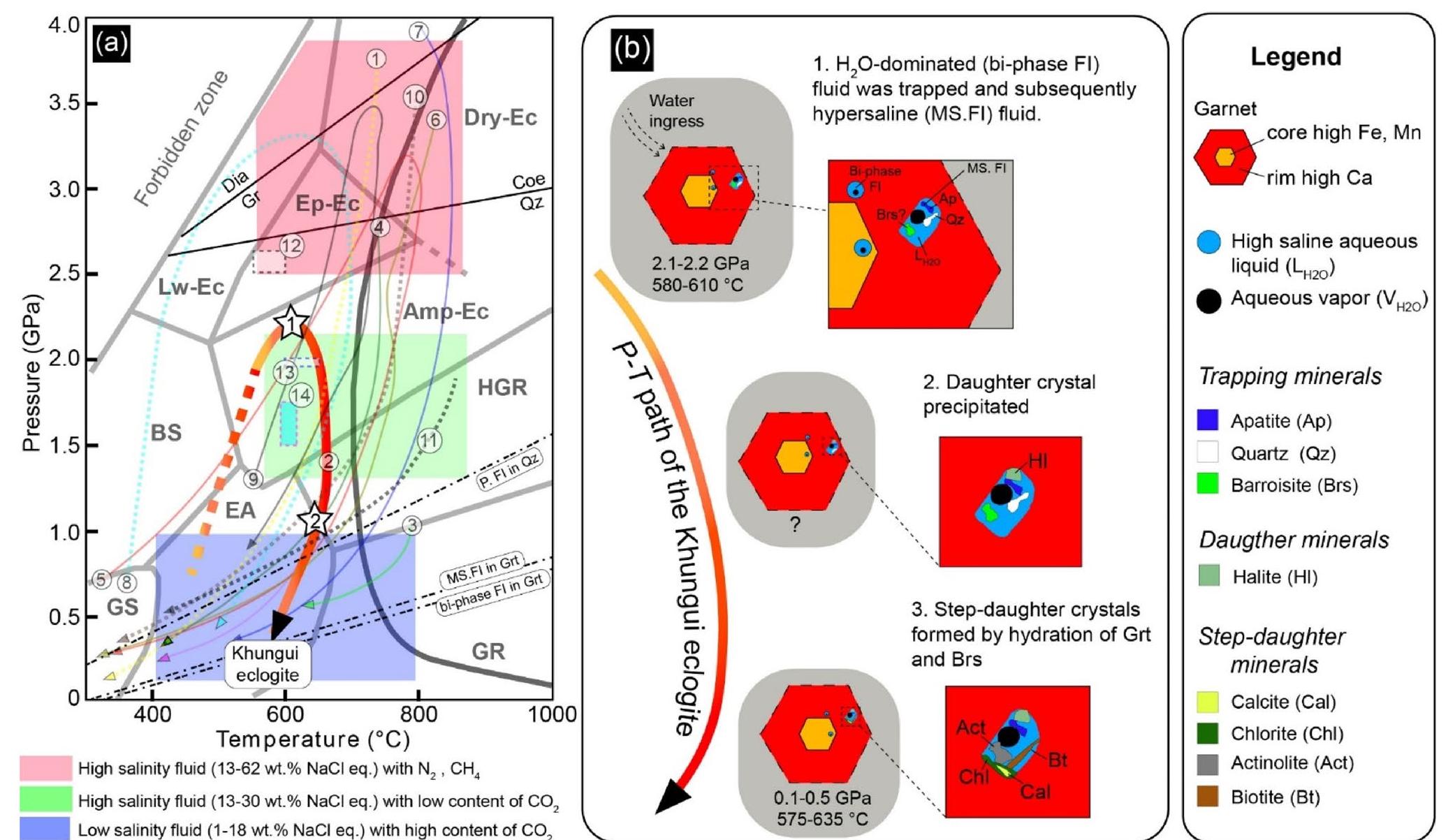 Multiphase Inclusions (PDF) Multiphase-solid fluid inclusions in HP-LT eclogite facies rock ...