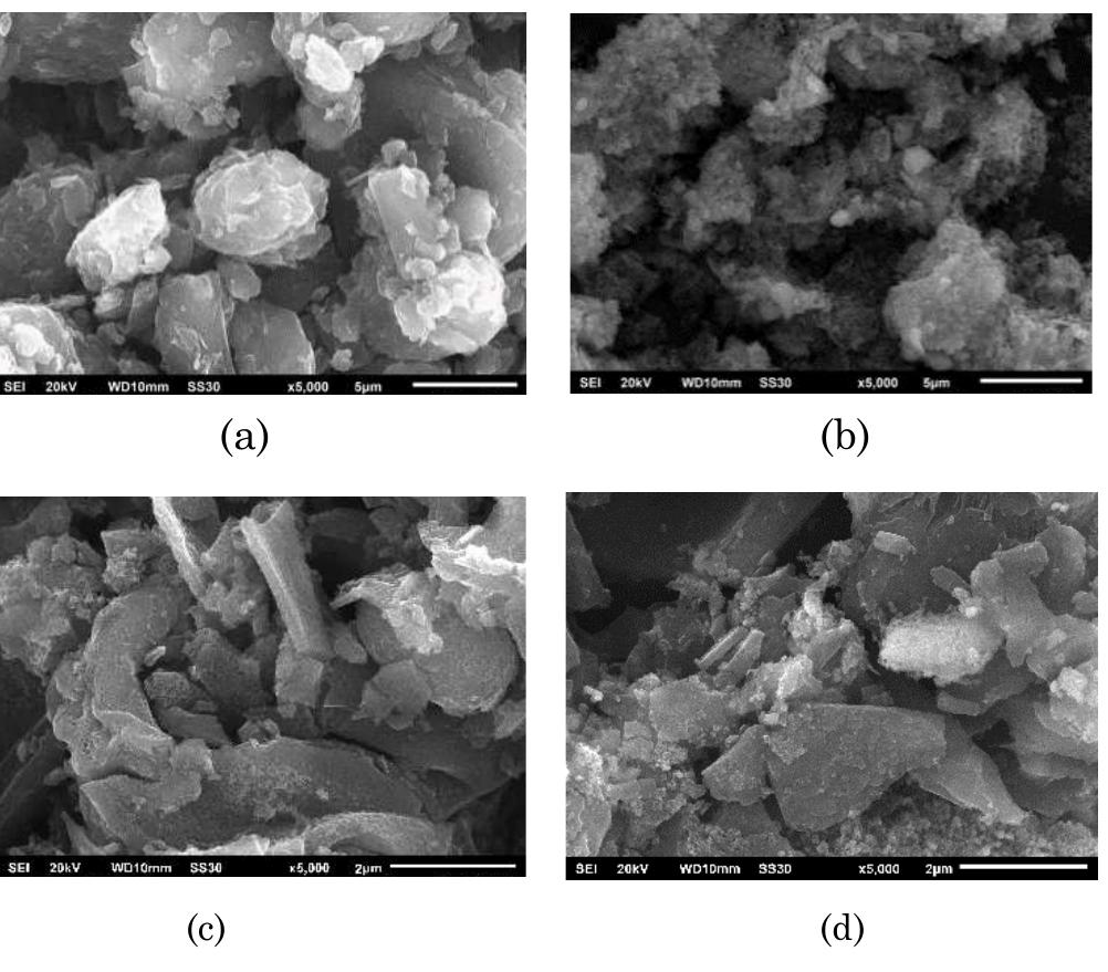 Morphology of the carbon electrode by sem: morphology of