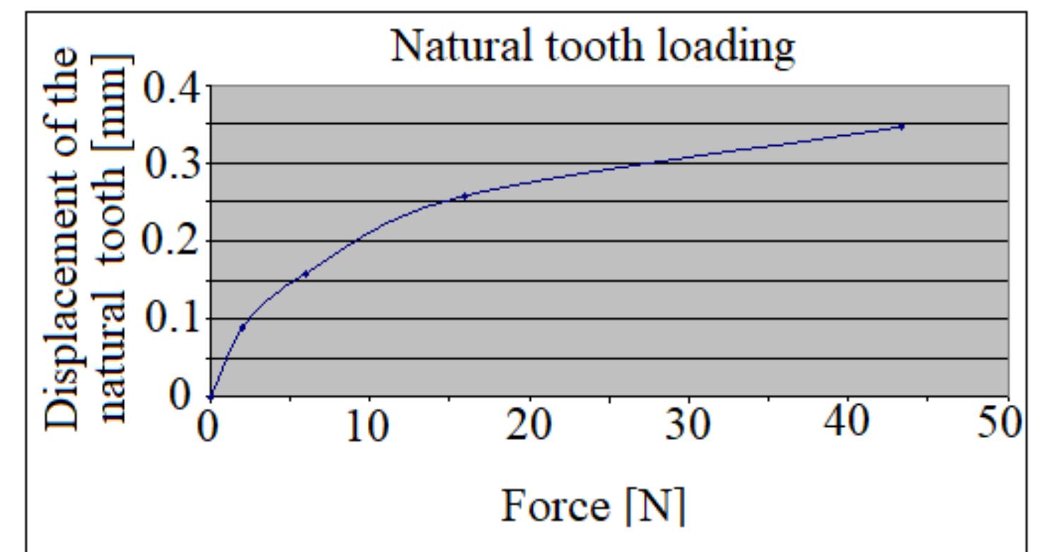 Figure 8. The natural tooth’s displacement during its loading. 