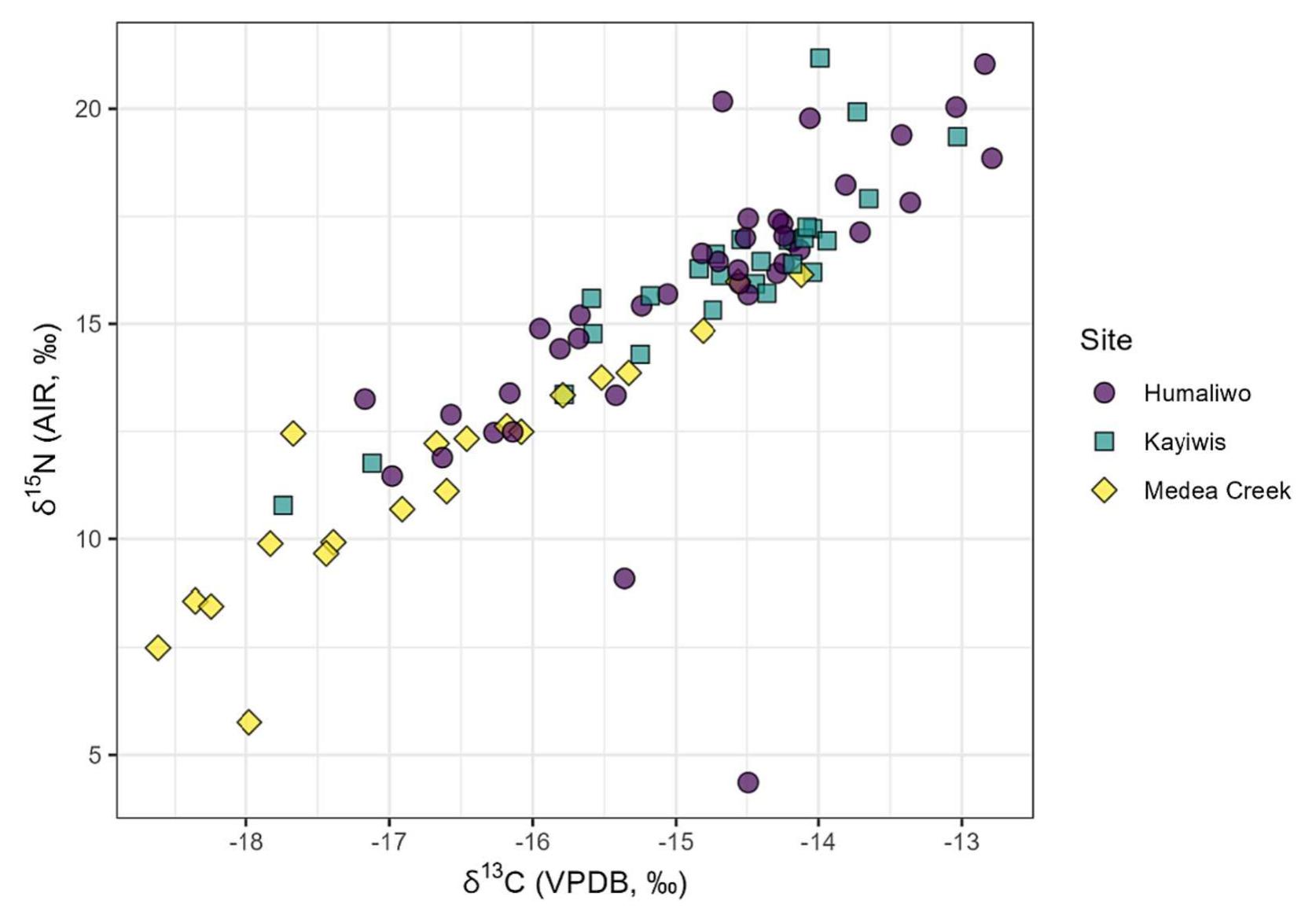 Fig. 3. Scatterplot of stable carbon and nitrogen isotope values of each individual. Marker shape and color vary according to archaeological site. 