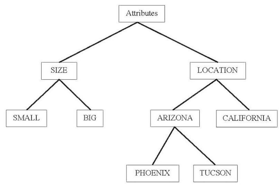 Figure 1: A TreeSoft Set of Level 3  The first set is formed by the nodes of level 1, second set by the nodes of level 2, third set by the nodes of level 3, and so on, the last set is formed by the nodes of level m. If the graph-tree has only two levels (m = 2), then the TreeSoft Set is reduced to a MultiSoft Set [8]. 