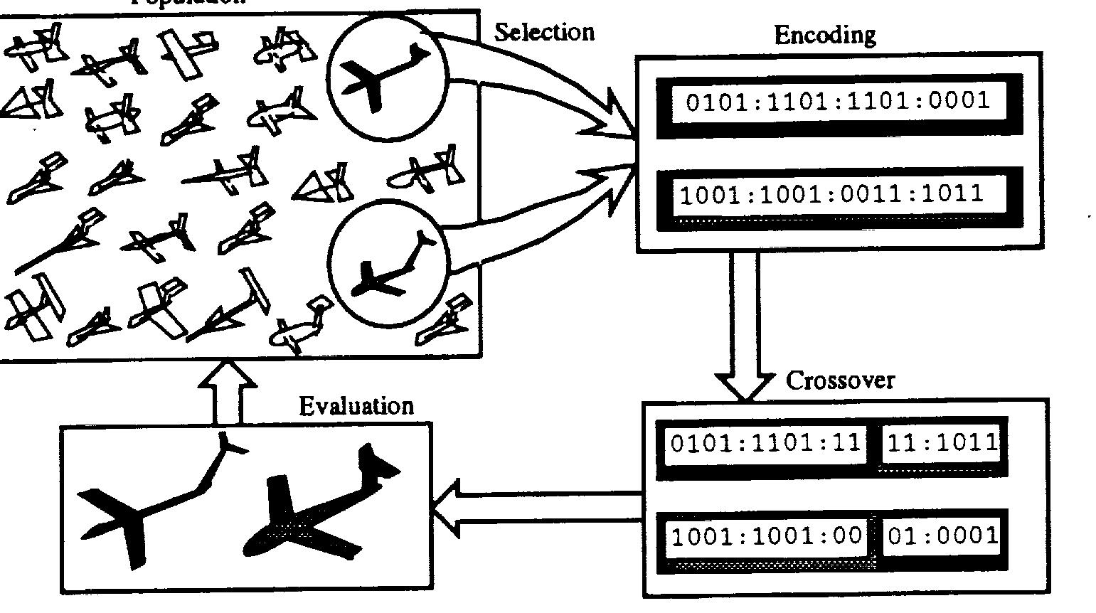 2: a standard genetic algorithm, illustrating the roles of