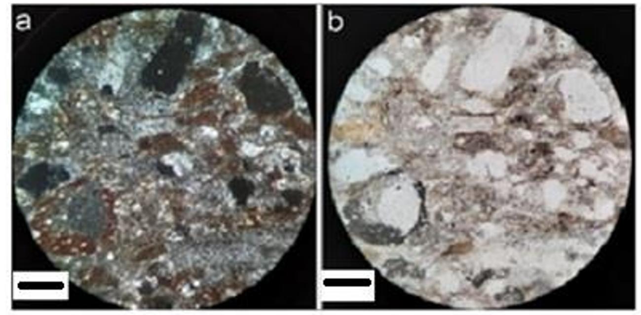 (PDF) Petrographic Analysis of Rocks in Tanah Puteh and Pulai, Gua ...