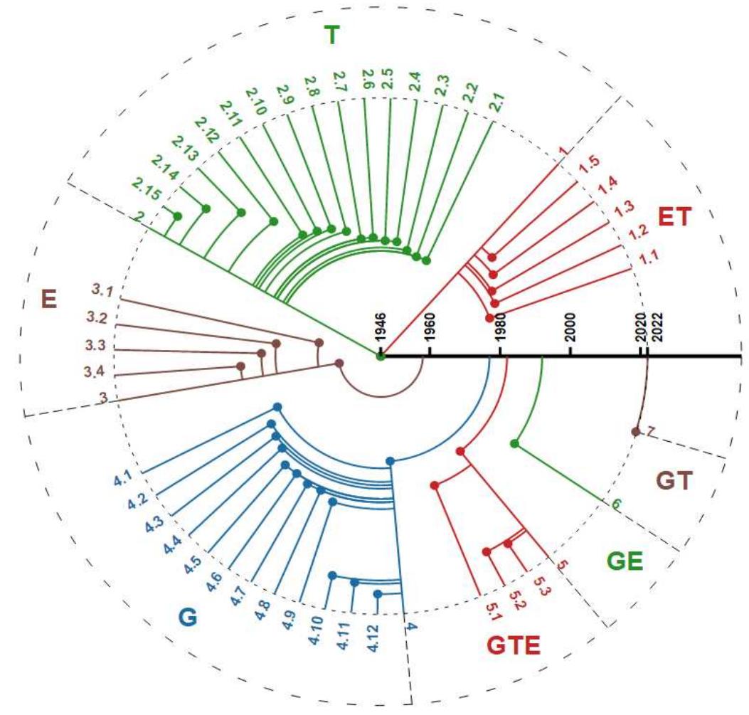 Phylogenetic diagram of technical evolution of classes of