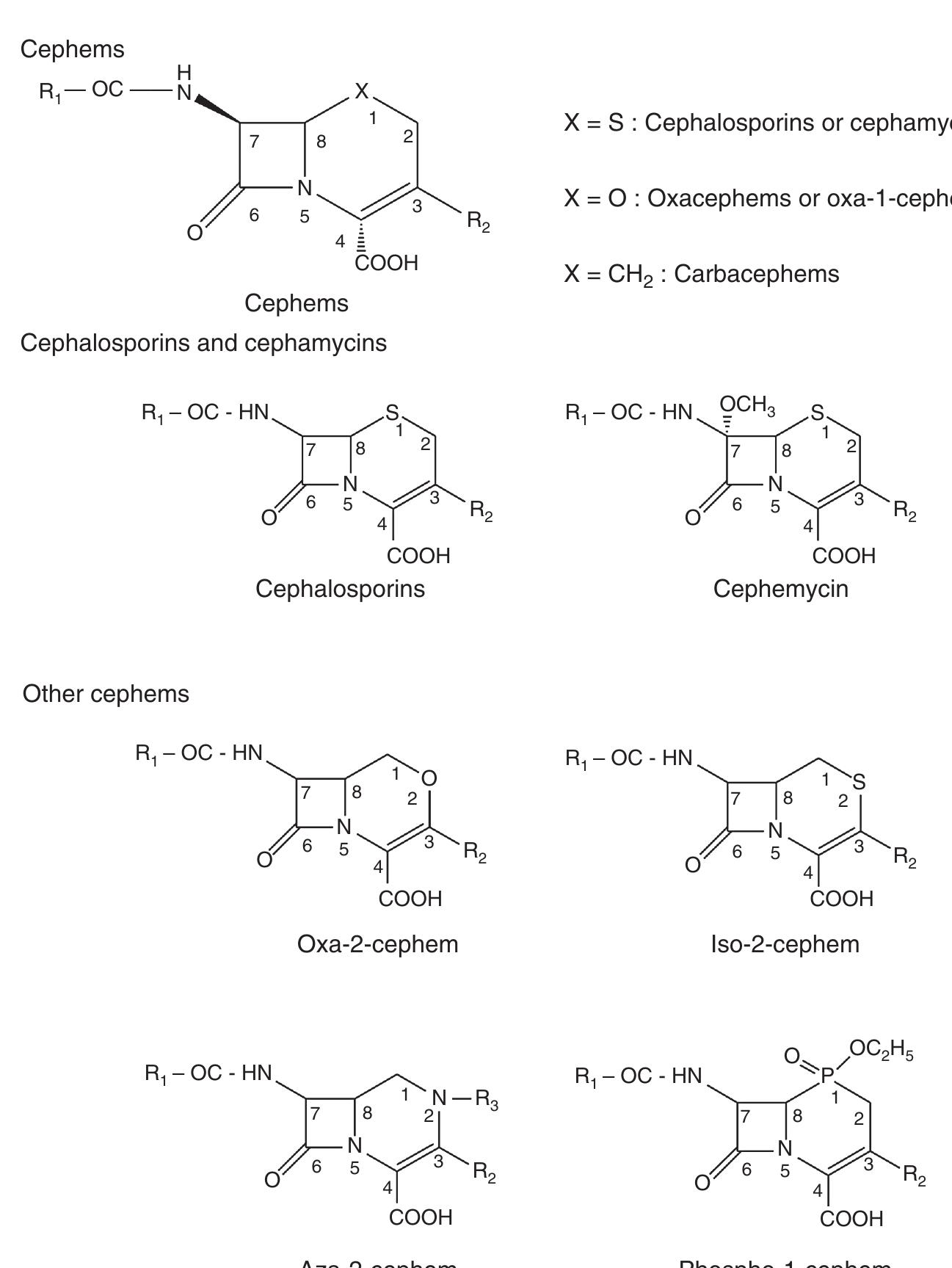Figure 1 - from b-Lactams: chemical structure, mode of