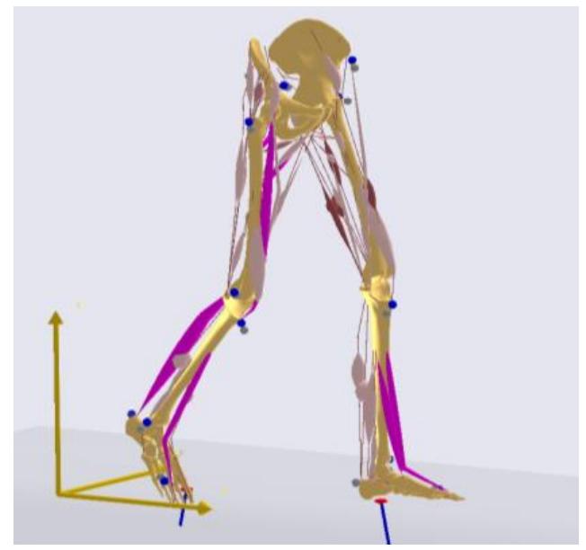 Solidworks Tibia Model Modeling of femur and tibia. femur and tibia models are