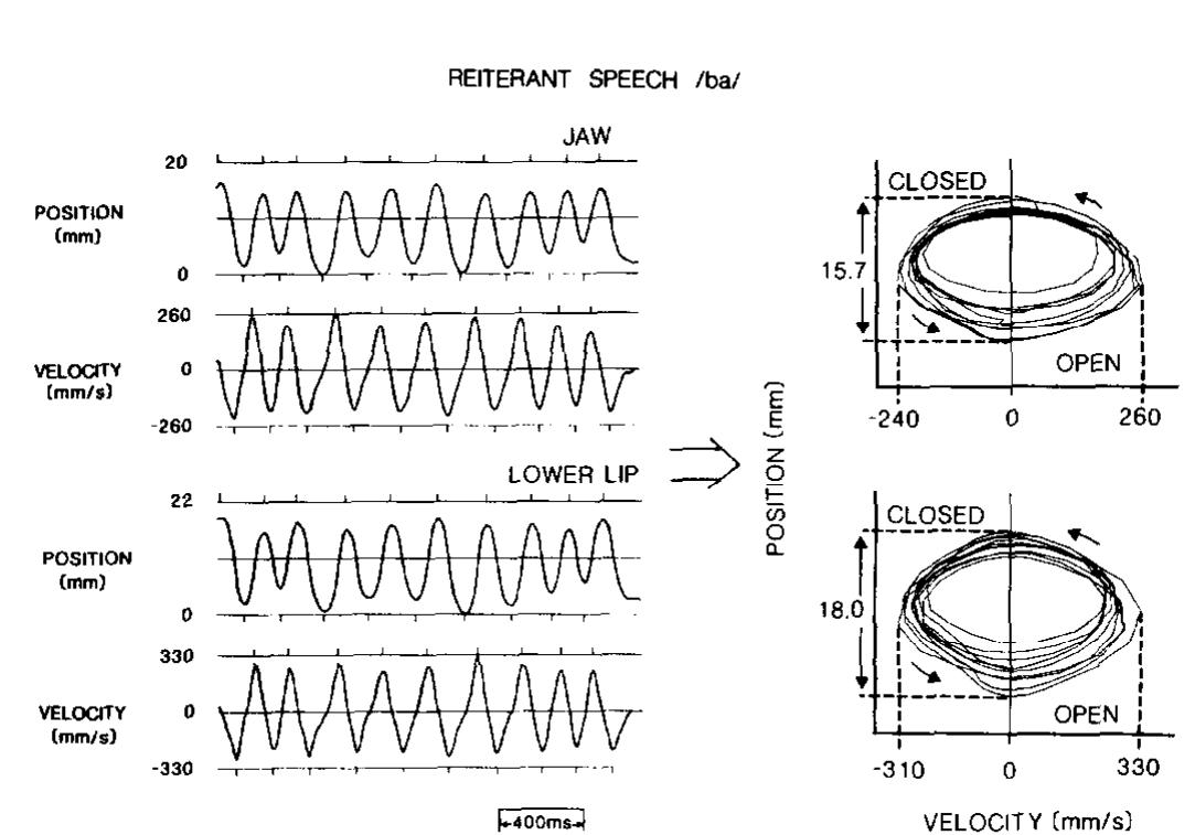the right side, these same variables are plotted against each other. Note that, despite the variability in the initial starting positions (the lips and jaws never start at exactly the same place) and the differences in rate, stress, and prosodic characteristics (likened to natural perturbations in the system), the shapes of the trajectories remain quite stable. Time as a variable does not appear in the phase plane, yet, when plotted in this topographic manner, speech systems exhibit stable periodic behavior. A ‘‘time-keeper’’ is not necessary for the system to keep time. Time falls out (as it does in a candle or a water clock) from the system’s constitutive  dynamics. It is not a possessed or programmed property (Kelso & Tuller, 1985).  a —  f = a ‘ening 7 . rT 