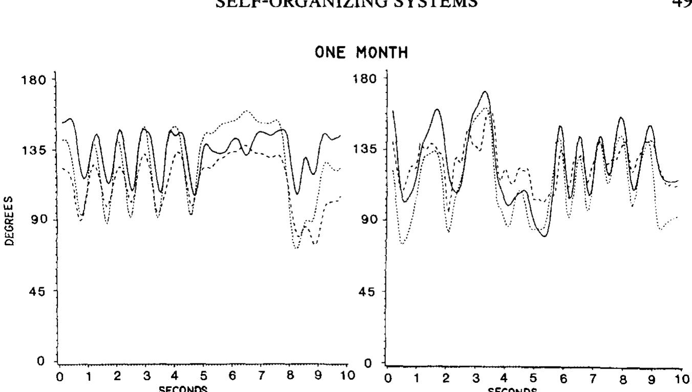 Fic. 2. Joint rotations in two representative infants over 10-s segments of spontaneous kicking. Solid line is the hip joint, short, dashed line is the knee joint, and long, dashed line is the ankle joint. Decreasing joint angles indicate flexion movements; increasing angles indicate extension. From Thelen, 1985. 