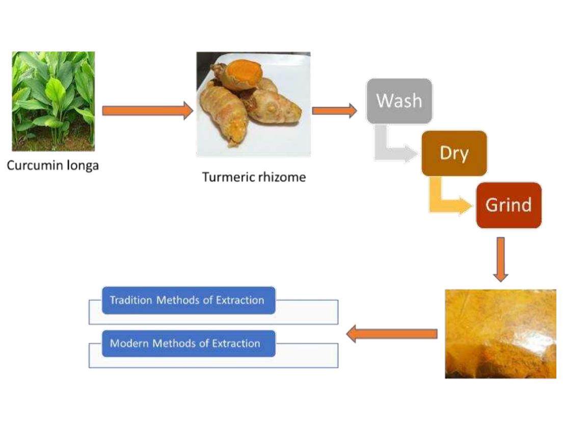 Solvent Curcumin Extraction Methods (PDF) Curcumin – Extraction, Synthesis and Application in Modern Drug ...