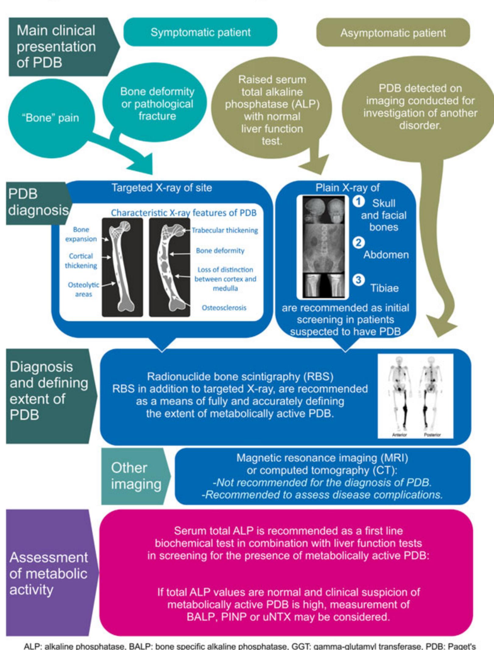 (PDF) Diagnosis and Management of Paget's Disease of Bone in Adults: A ...