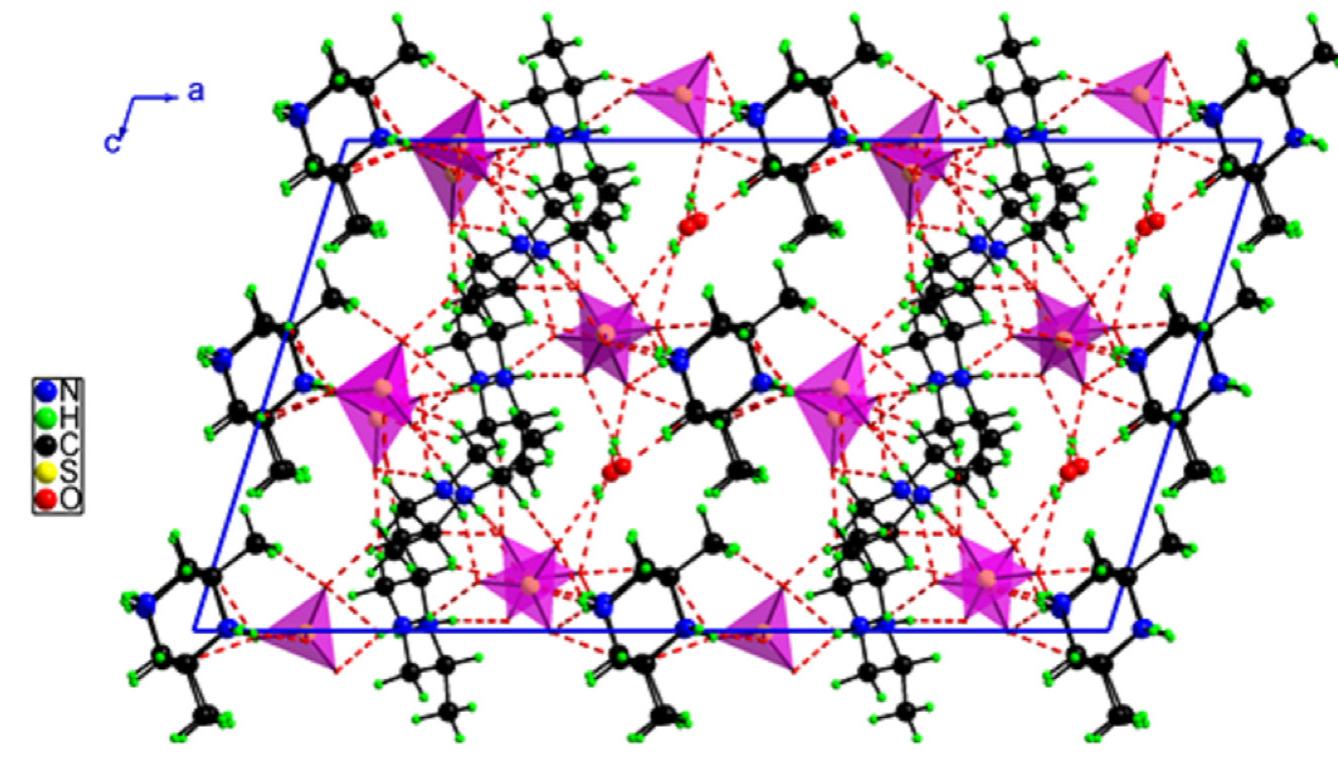 Projection along the b axis of atomic arrangement of