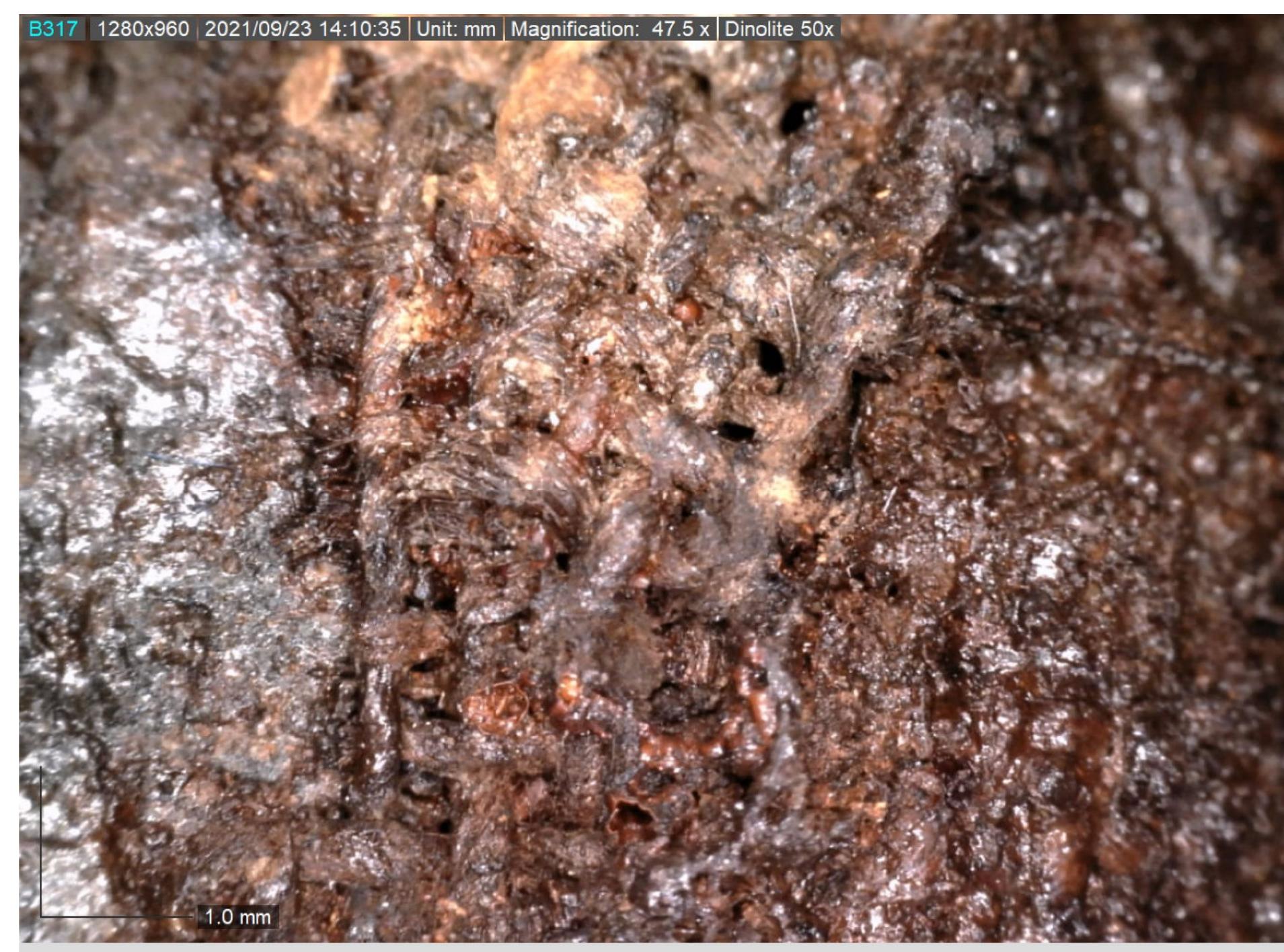 Figure 15: Textile fragments on an iron pellet bell from burial 17, Halimba-Belaté-domb, DinoLite_50x-Taxtile A_6. Photo: K. Saunderson. 