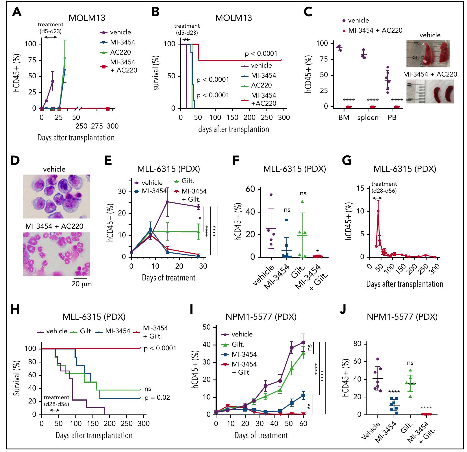 (PDF) Combinatorial treatment with menin and FLT3 inhibitors induces ...