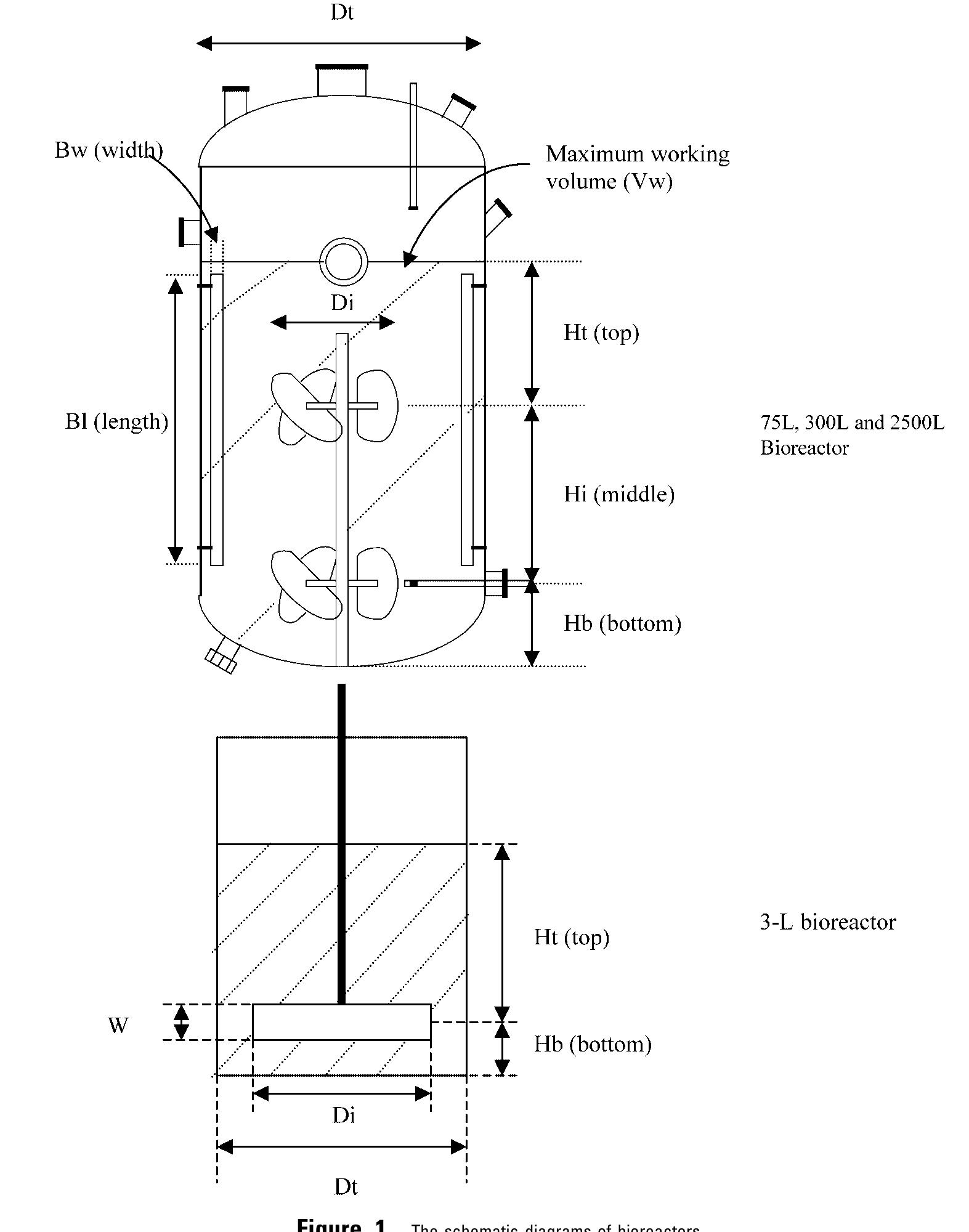 (PDF) Fed‐batch bioreactor process scale‐up from 3‐L to 2,500‐L scale ...
