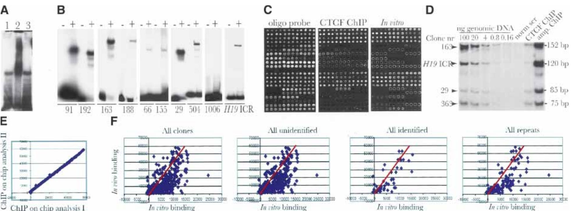 Figure 4 - from The Binding Sites for the Chromatin