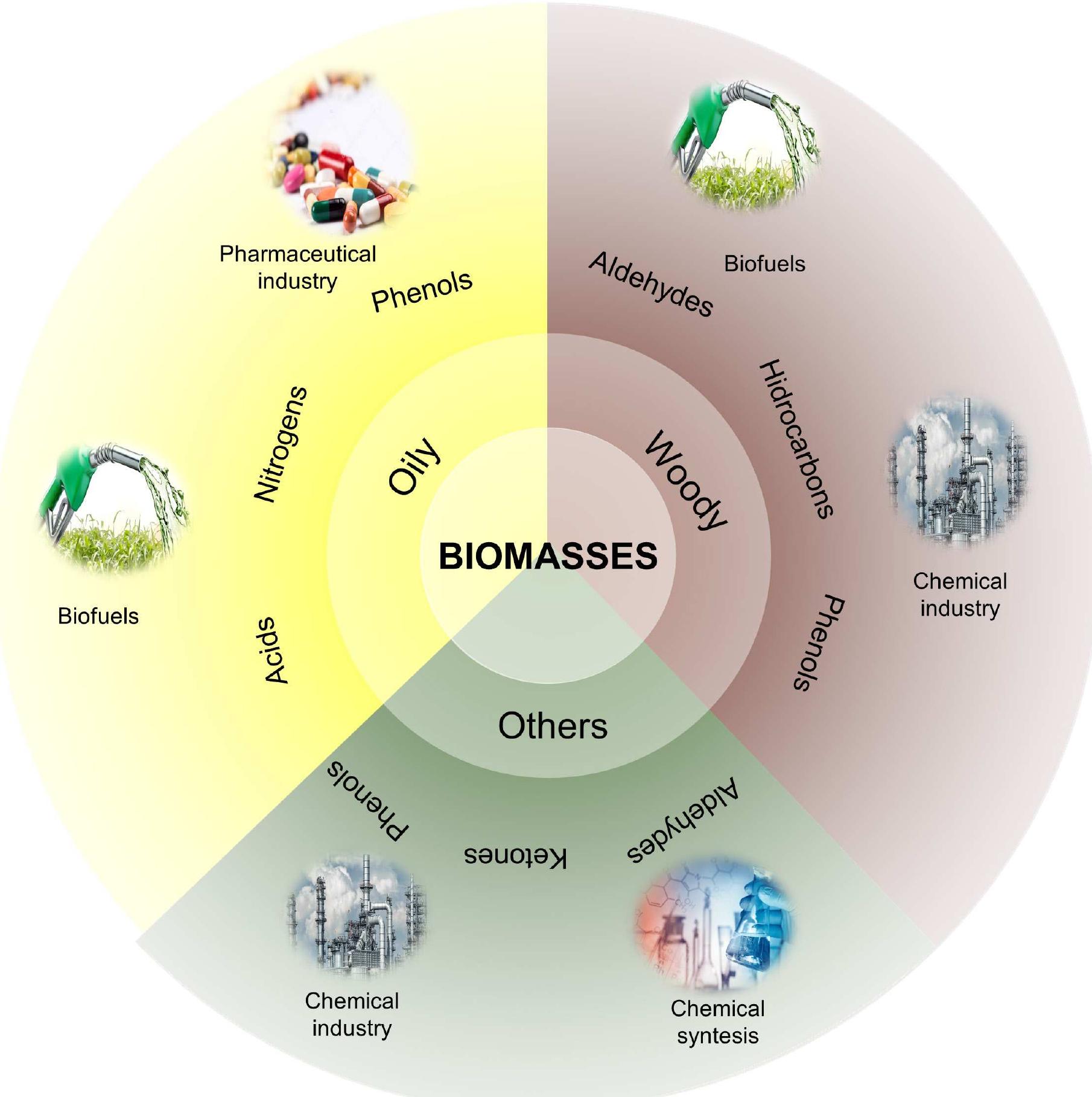 Figure 5. Main classes of compounds found in bio-oils according to the type of biomass and its possible applications.  can be applied as an alternative to fossil fuels, after an adequate up-grade. Oxygenated compounds such as phenols, are important inputs in the chemical industry for the production of polymeric resins pesticides, dyes and explosives, as well as nitrogen compounds are widely used for syntheses in the pharmaceutical industry. Compounds derived from aldehydes, such as furfural, can be purified by goinc through hydrogenation processes and generating high added value products for application in lubricants plastics, nylon and adhesives. Fatty acids and esters, identified in some samples (mainly oily), can be used in the production of biodiesel. In Figure 5, the main chemical classes found in bio-oil can be observec in all studies with Brazilian biomasses with potential industrial use [63-66]. 