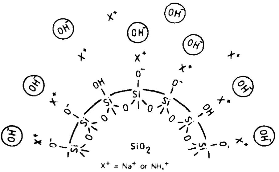 Surface structure of a colloidal particle of water colloidal