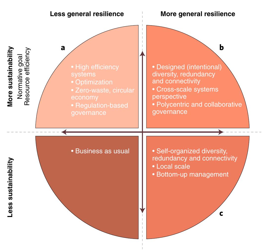 (PDF) Sustainability and resilience for transformation in the urban century