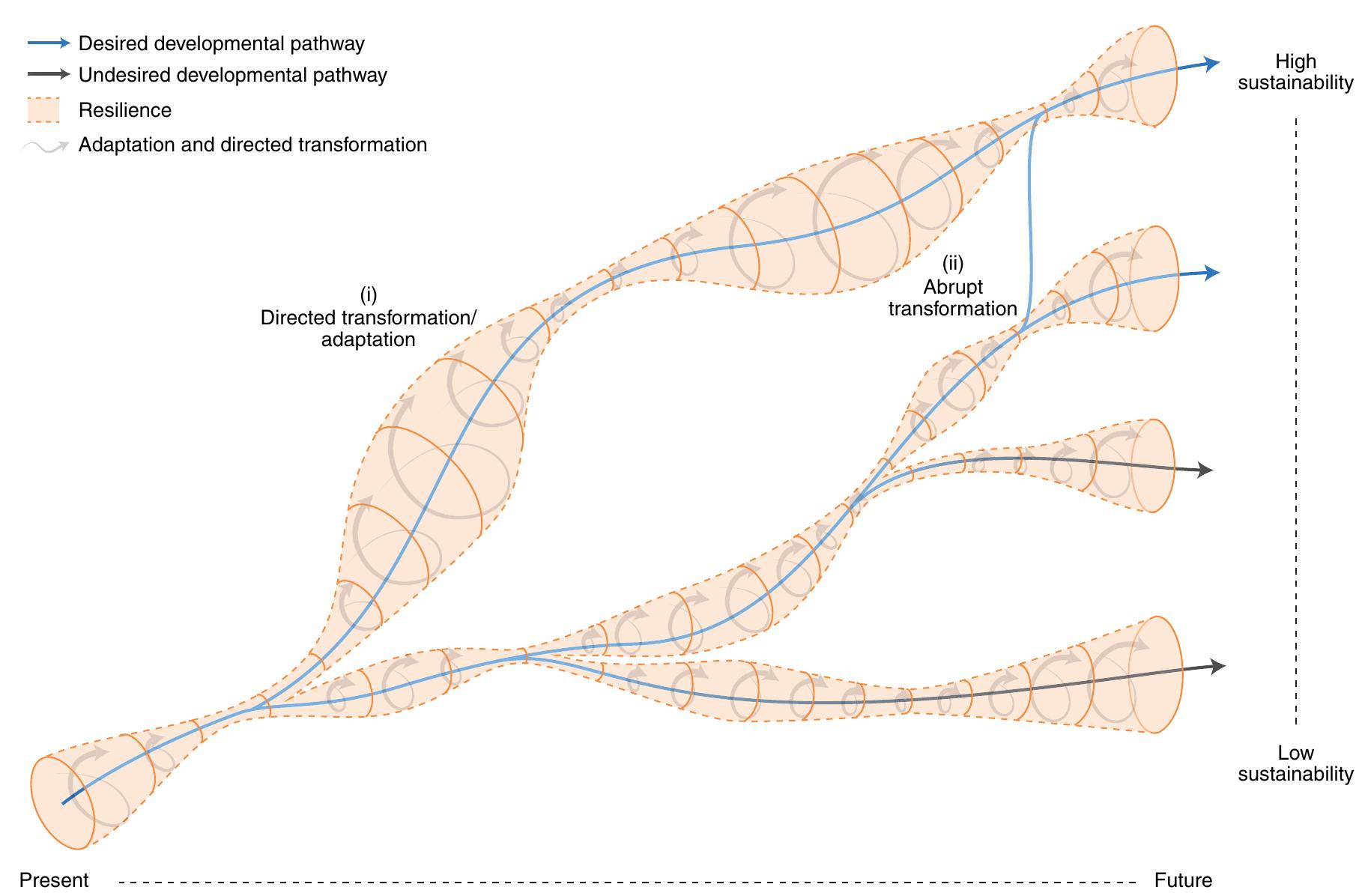 (PDF) Sustainability and resilience for transformation in the urban century