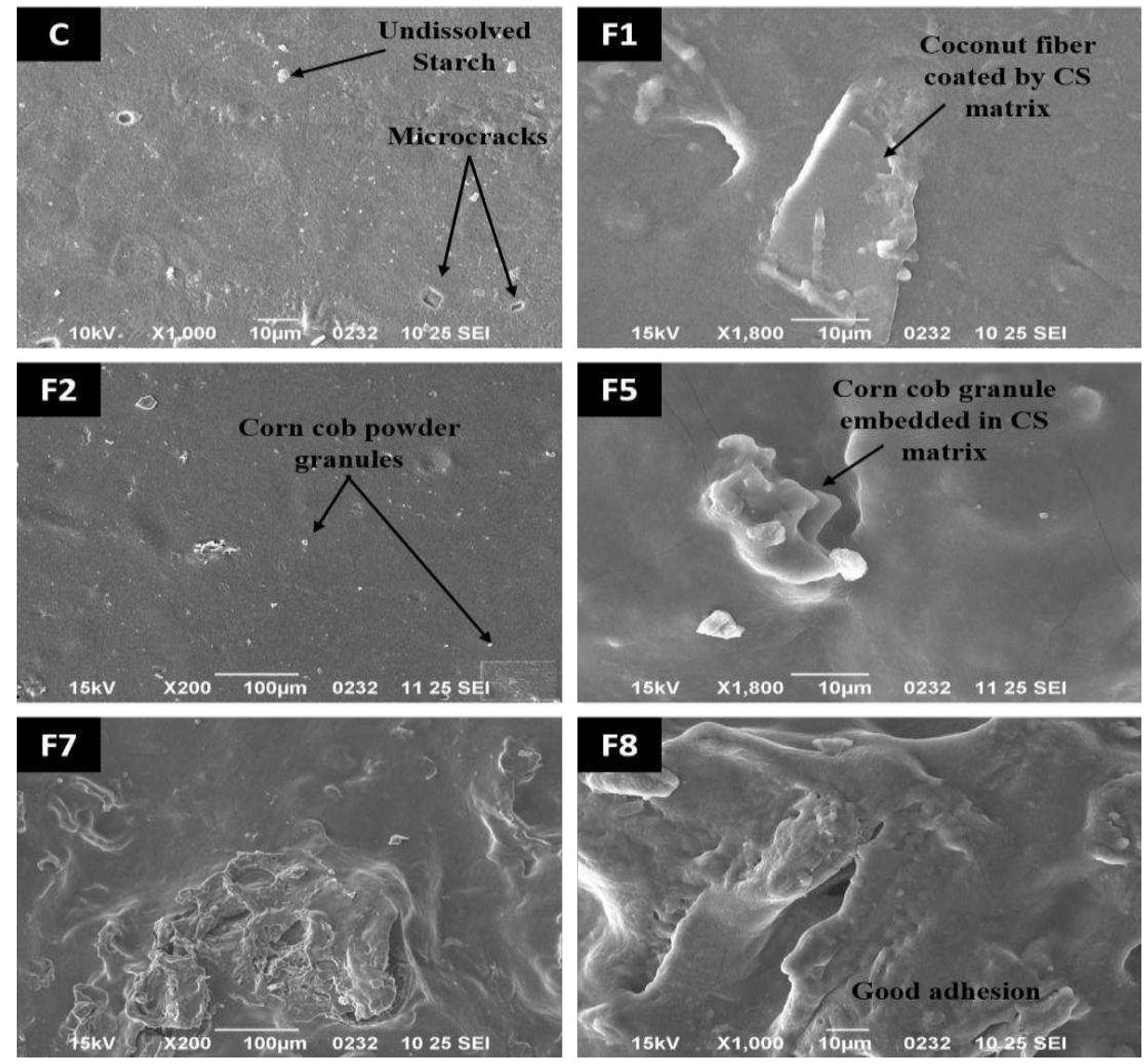 (PDF) Preparation and Antimicrobial Activity of Corn Cob and Coir ...