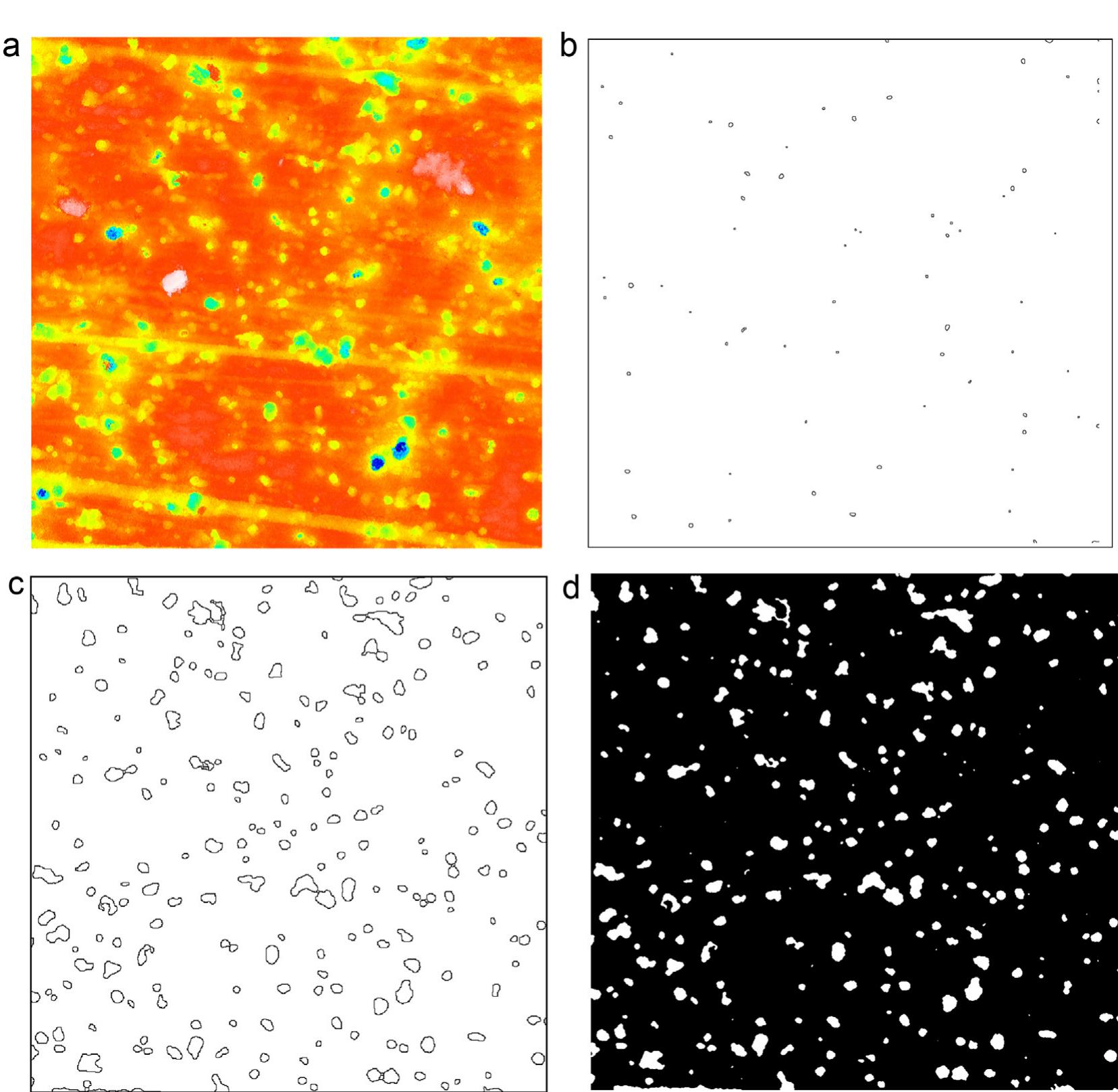 (PDF) 3D image multifractal analysis and pore detection on a ...