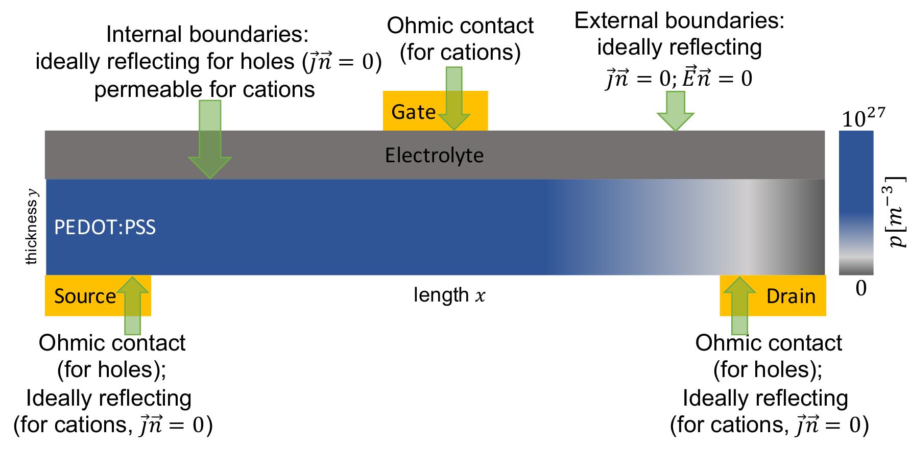 (PDF) Tuning the Transconductance of Organic Electrochemical Transistors