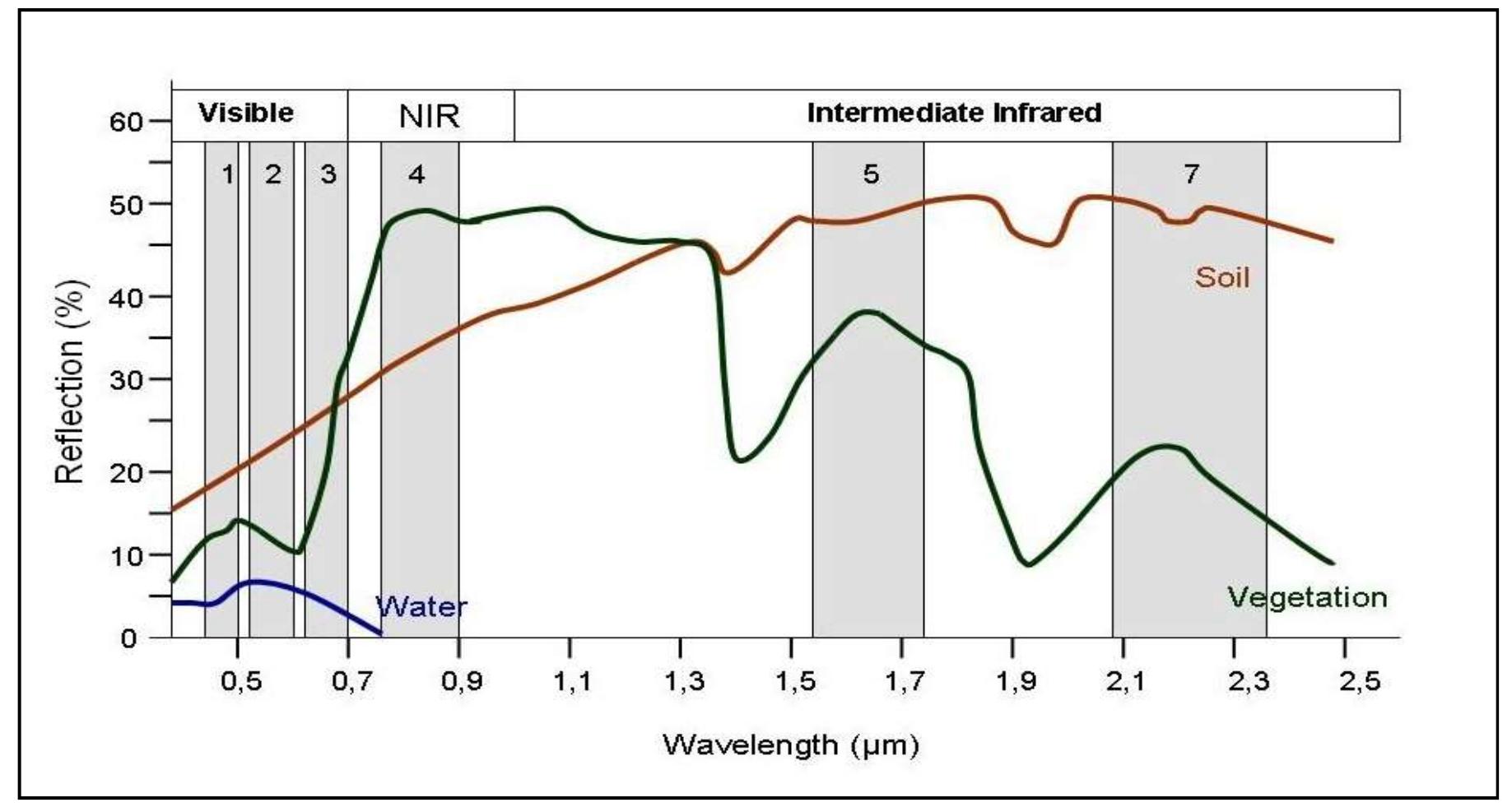 The typical spectral signatures of soil, vegetation, and