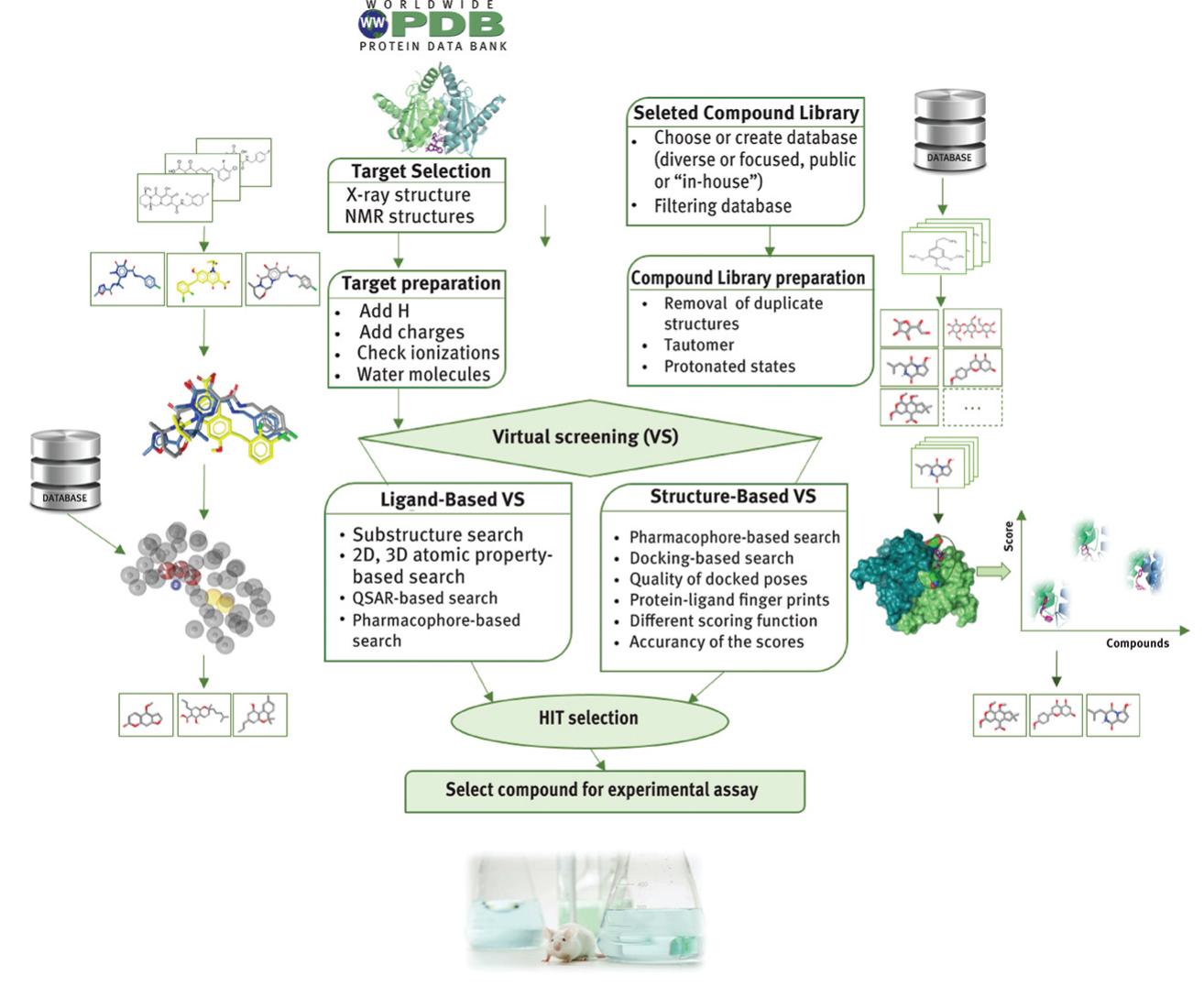 Workflow of structure- and ligand-based vs. virtual
