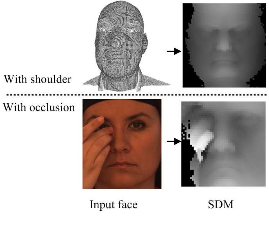 (PDF) Learning the Spherical Harmonic Features for 3-D Face Recognition