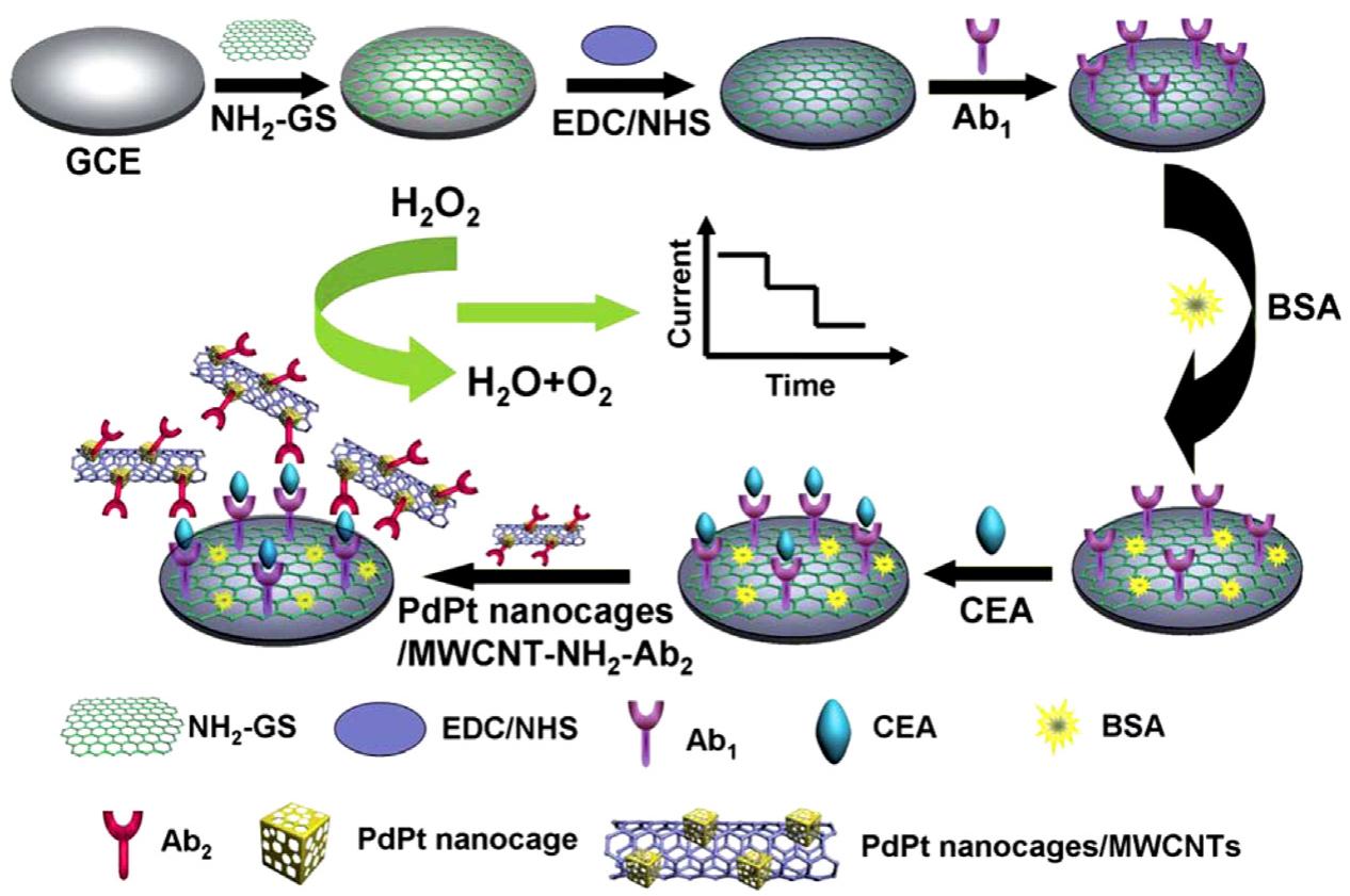 Figure 1 - from Carbon nanotubes-based electrochemical
