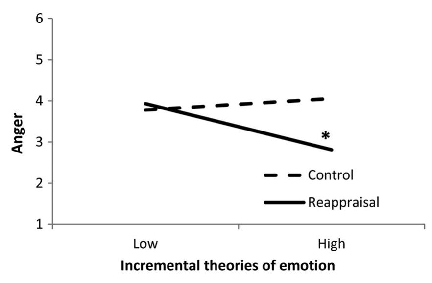Refulation Means (PDF) Successful emotion regulation requires both conviction and skill ...