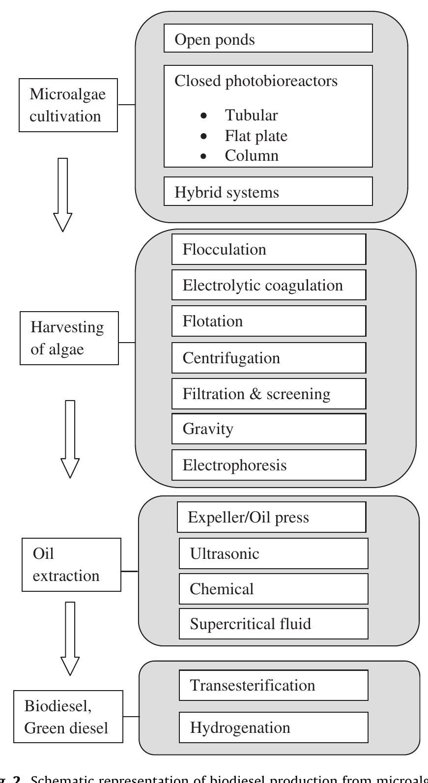 Figure 2 - from Perspectives of microalgal biofuels as a