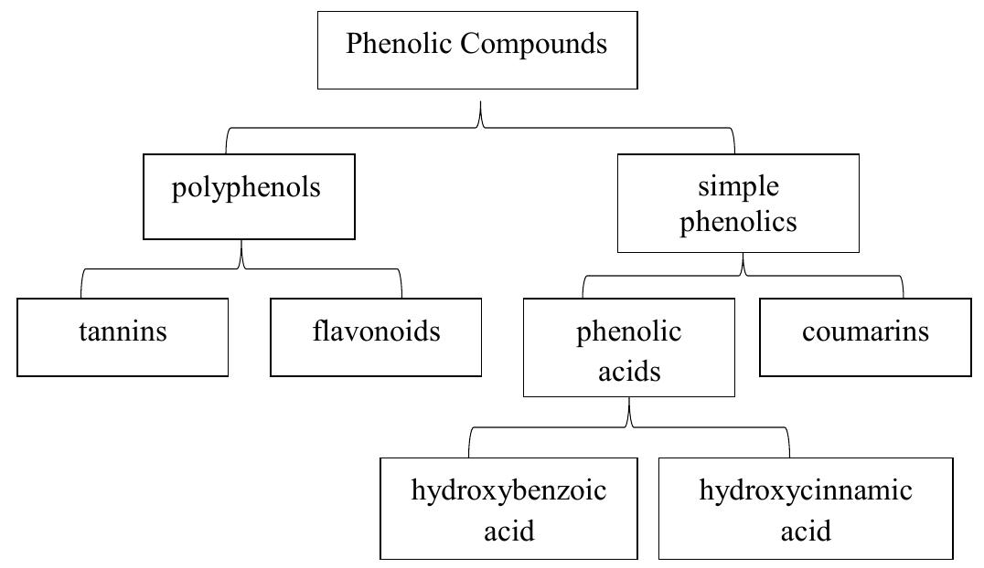 Chemical classification of phenolic compounds. phenolic