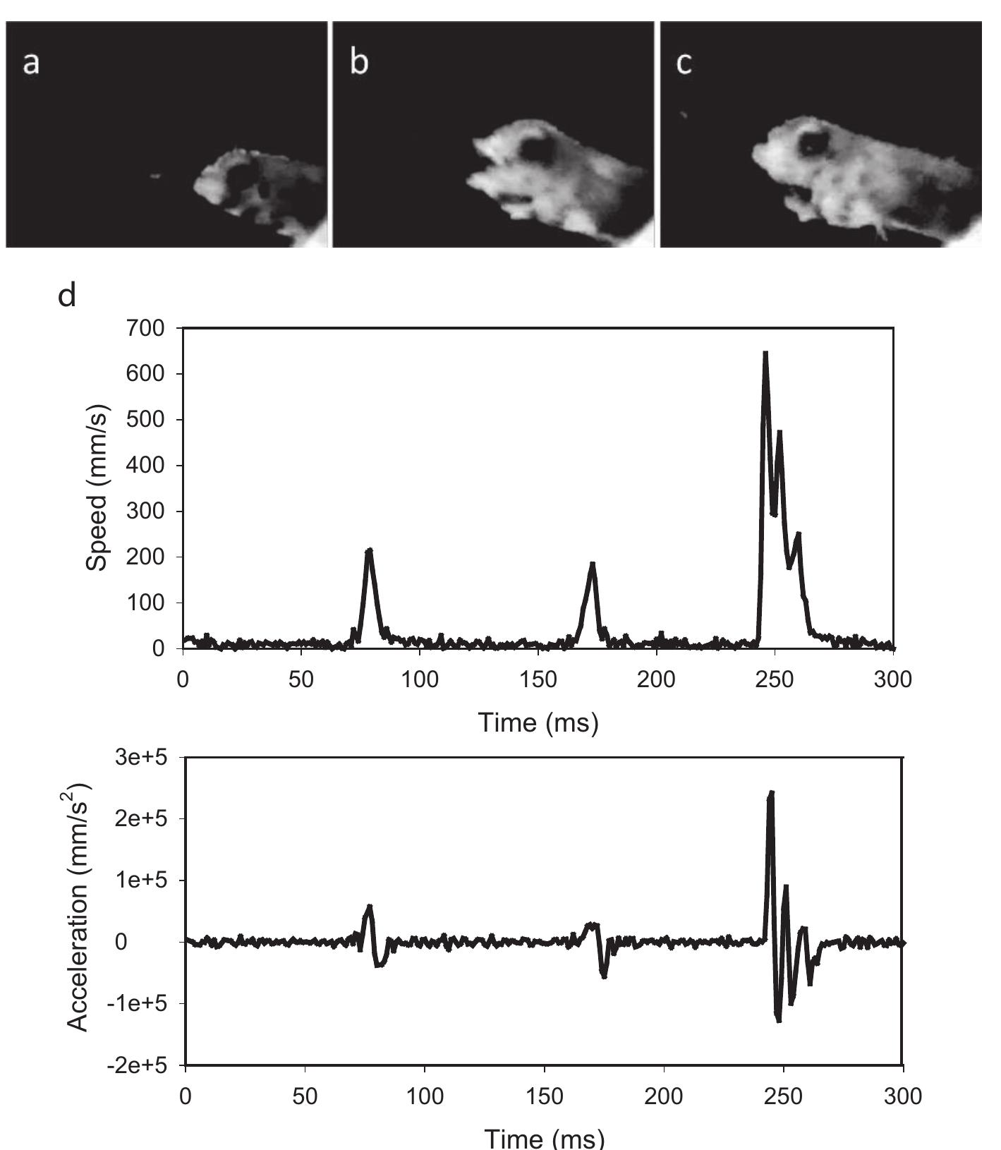 (PDF) Sensory perception, neurobiology, and behavioral adaptations for ...