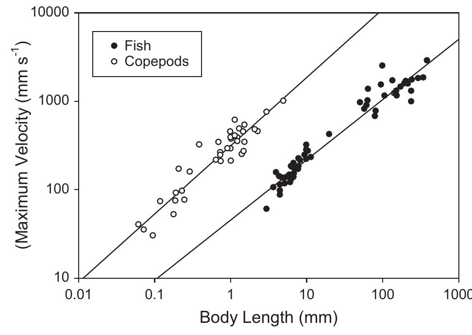 (PDF) Sensory perception, neurobiology, and behavioral adaptations for ...