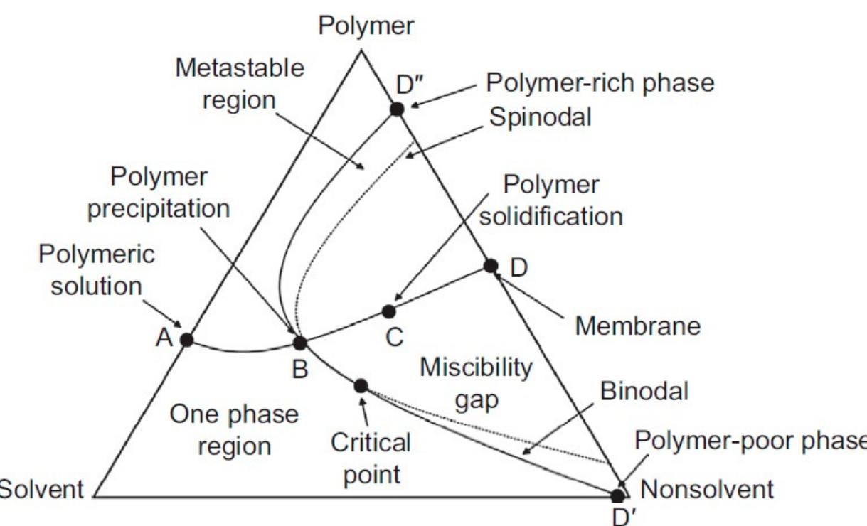 (PDF) Bio-Based Polymeric Membranes: Development and Environmental ...