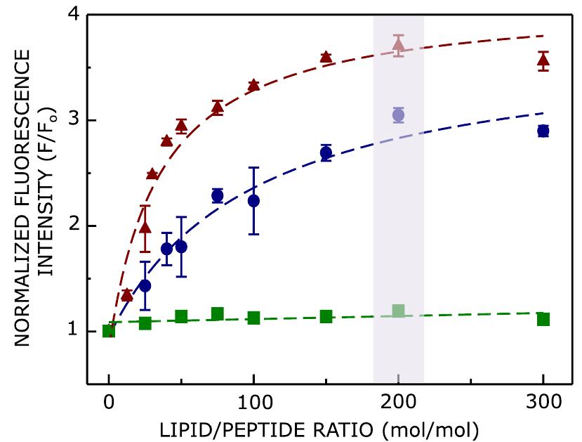 Binding of phlip with ester and ether lipid membranes