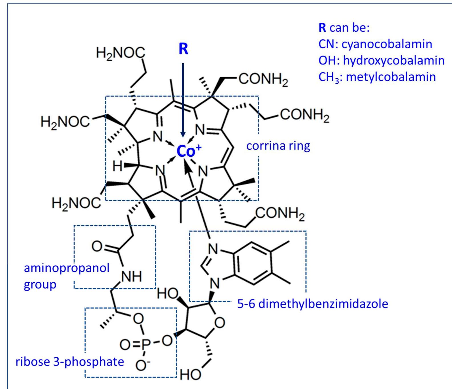 Figure 4 - from Relationship between Vitamin B12 and Cobalt