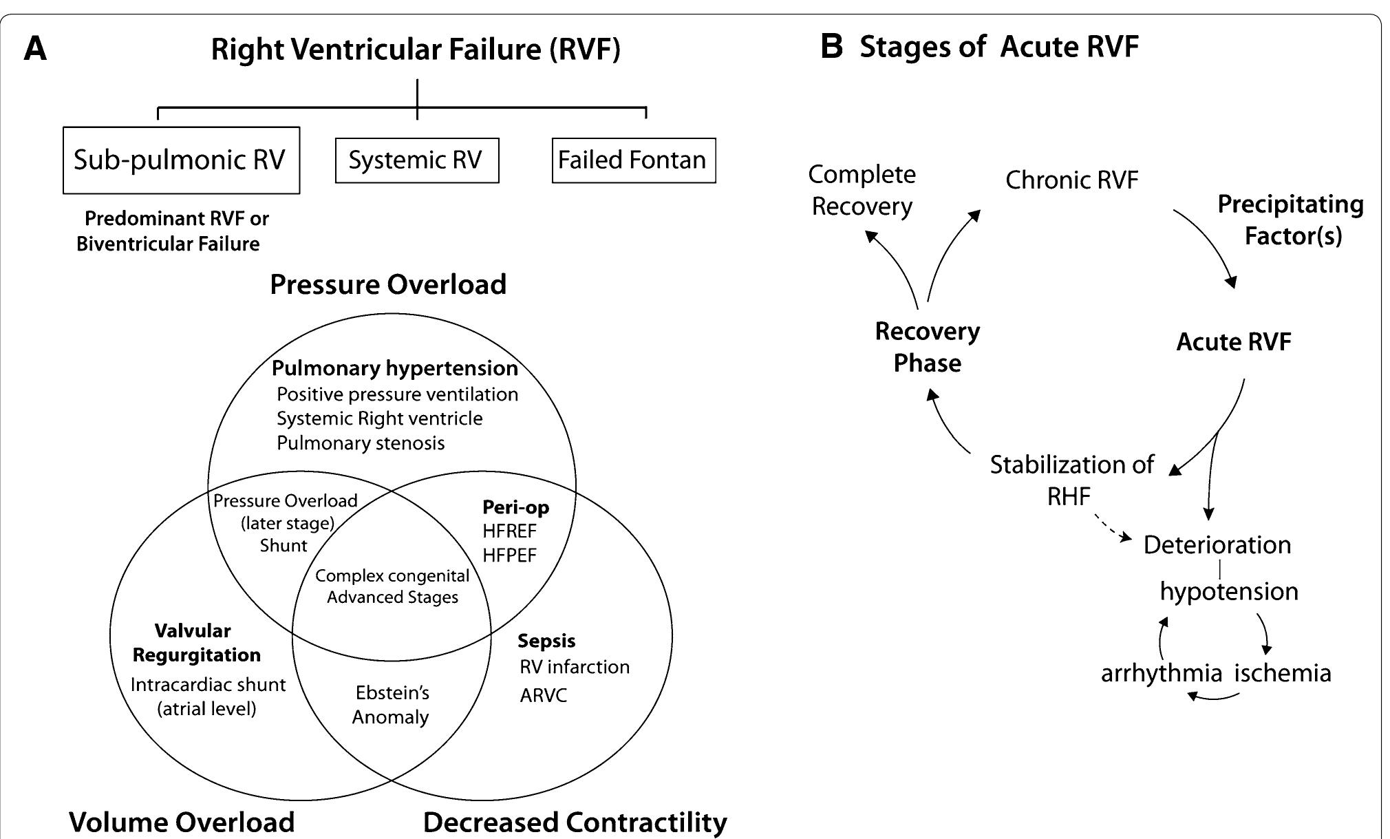 (PDF) Diagnostic workup, etiologies and management of acute right ...