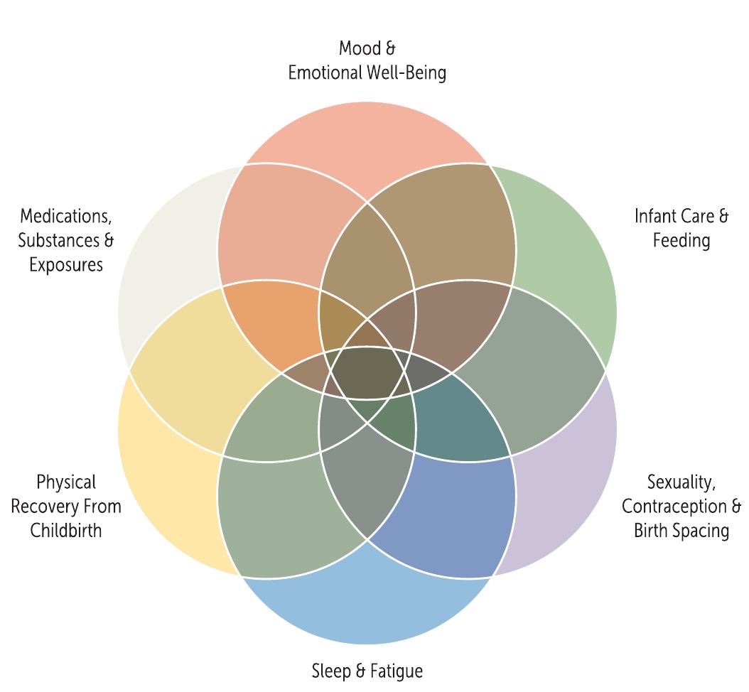 (PDF) Promoting Maternal and Infant Health in the 4th Trimester