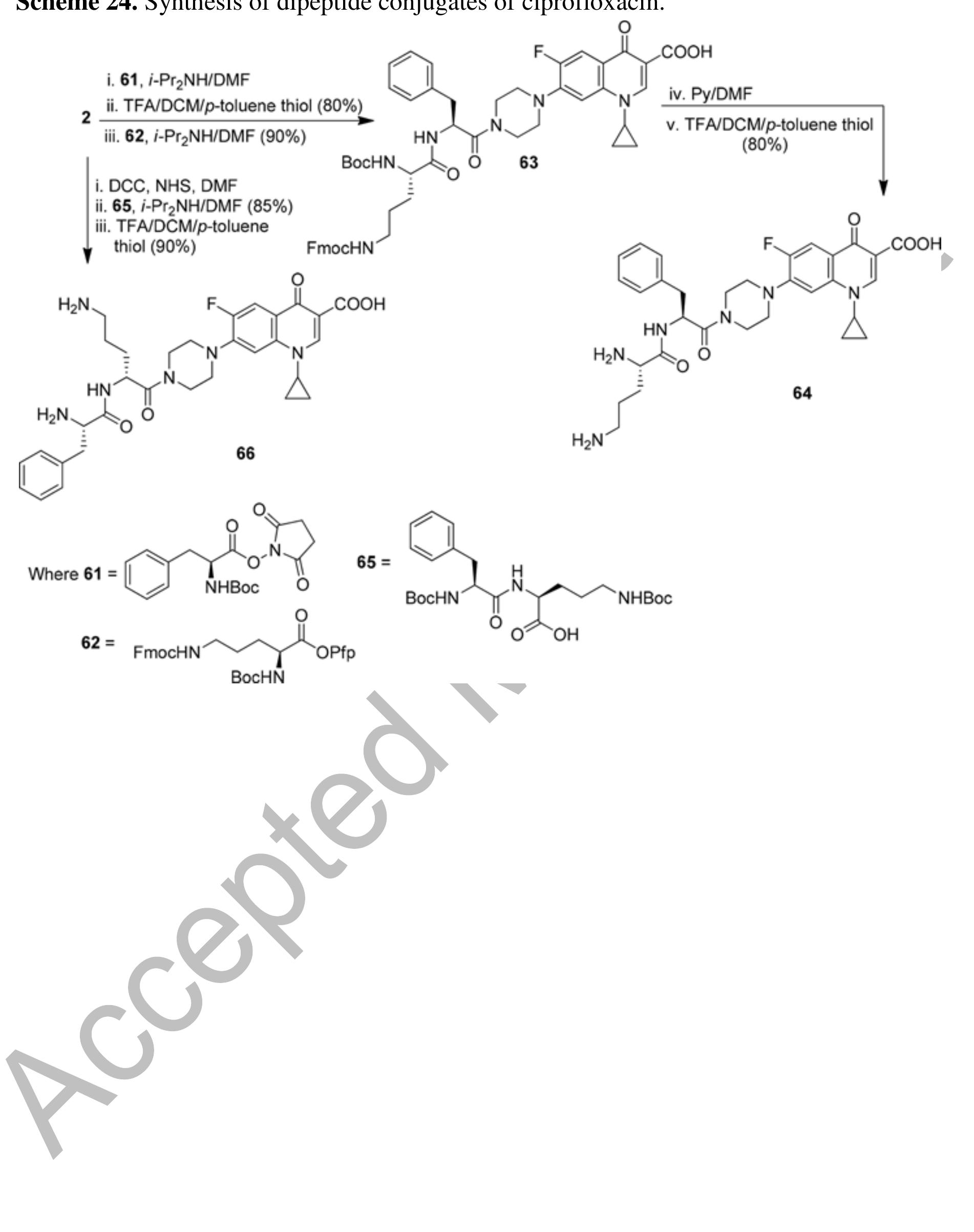 Figure 3 - Synthesis of ciprofloxacin-based compounds: A