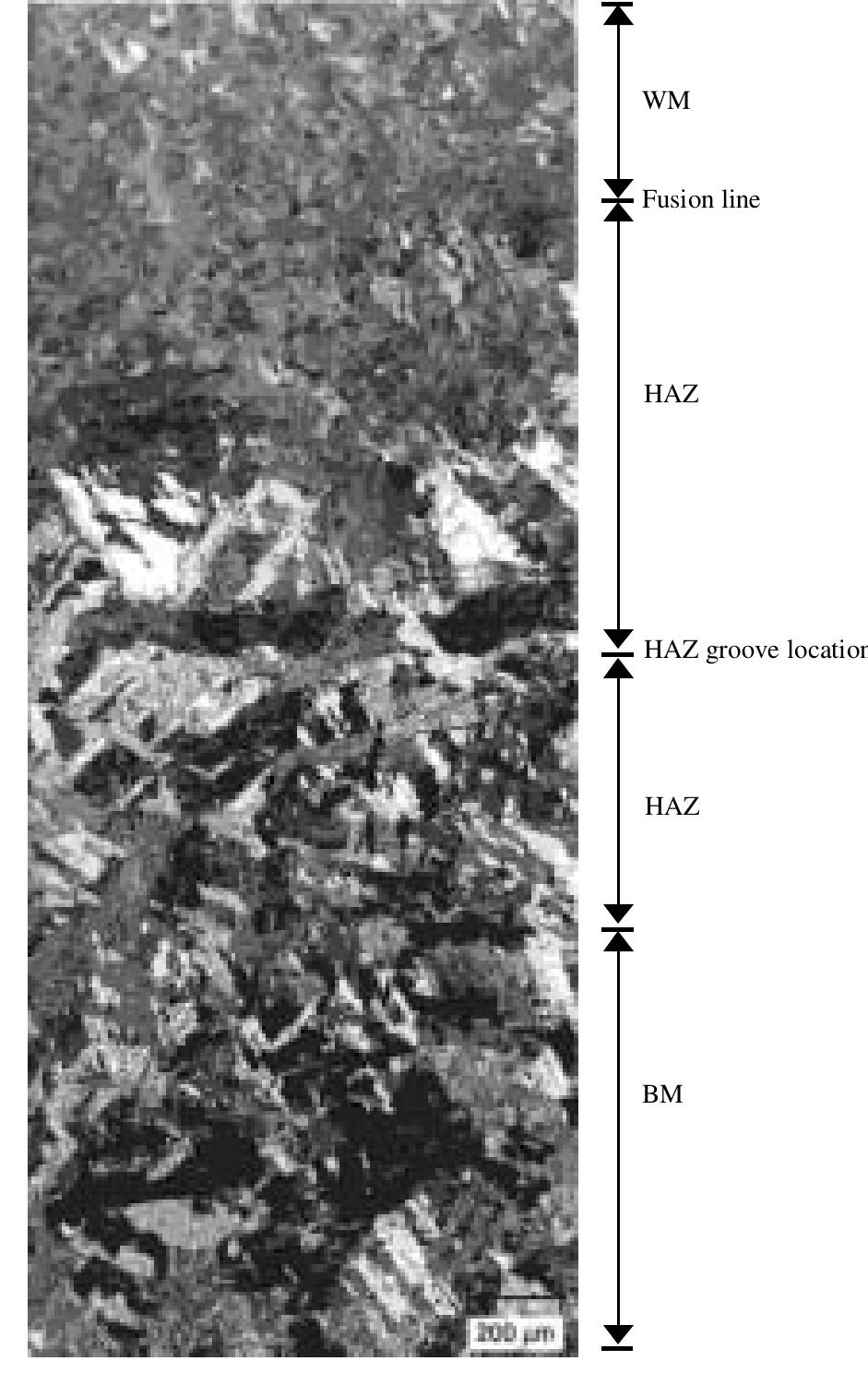 (PDF) Fatigue Crack Propagation in Welded Joints of the Steel CA6NM ...
