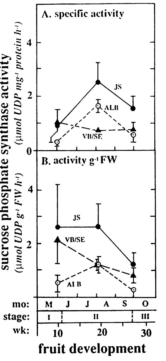 Grapefruit Development (PDF) Sucrose-Metabolizing Enzymes in Transport Tissues and Adjacent ...