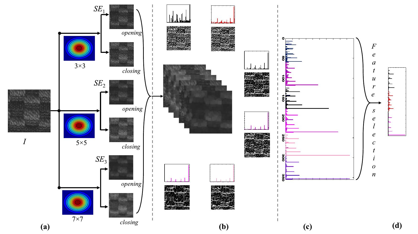Lop Sample (PDF) Local morphological pattern: A scale space shape descriptor for ...