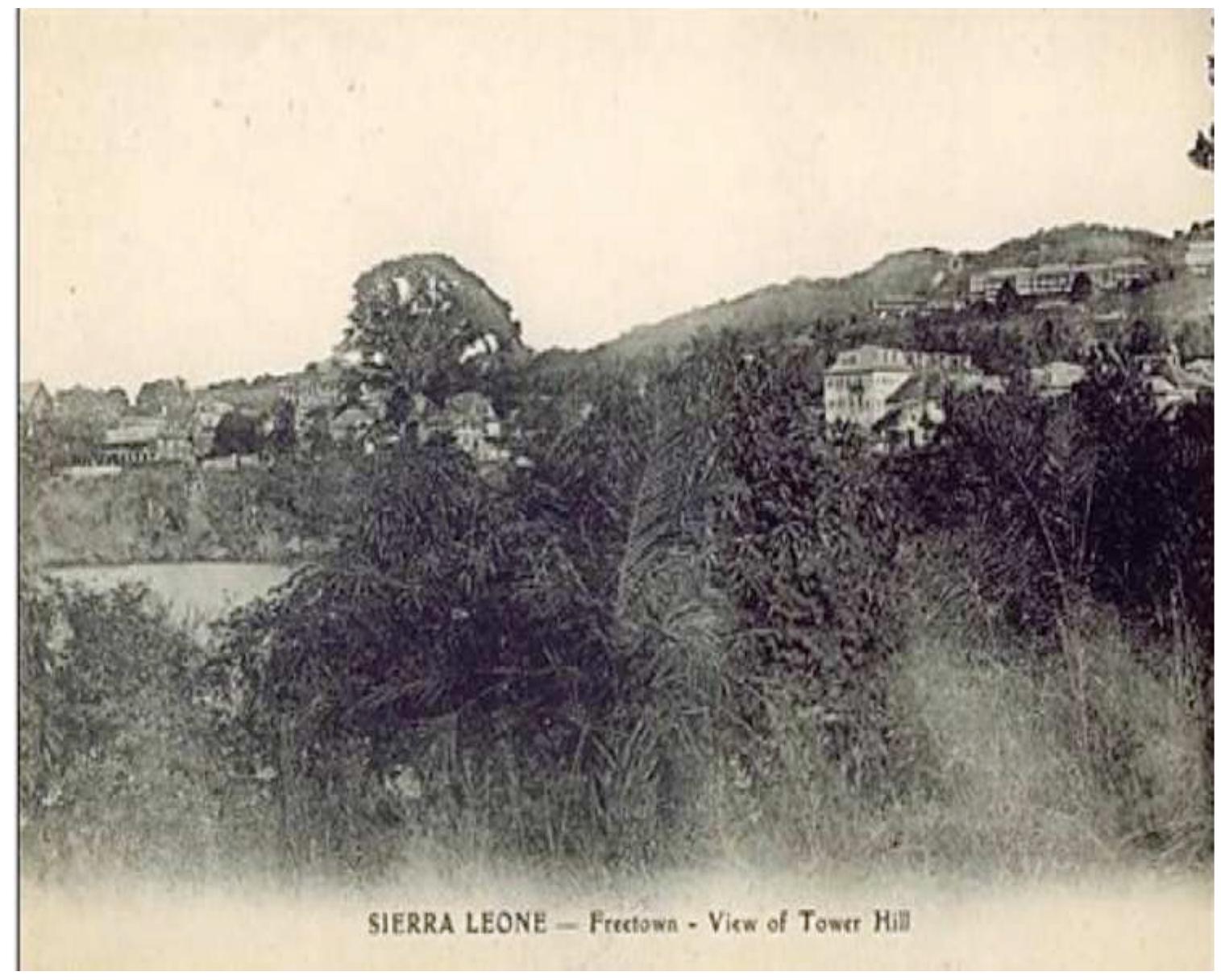 Figure 2: Postcard depicting Freetown in 1890 - View of Tower Hill. The Cotton Tree can be seen just left of center  and drawings of the heart of the city it is easy to spot a "great tree" rising above the fray.  occupied the center of images of Freetown since at least the late jgth century. In photographs of 