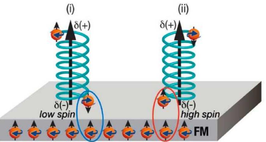 Figure 15 - from A Chirality-Based Quantum Leap: A