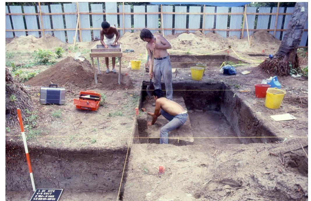 Fig. 2. Archaeological grid system and axonometric-checker- board investigation of excavated units at the Taino Indigenous Mediania Alta and Vieques sites, Loiza, Puerto Rico (1987), Agelarakis, A. P, field director. 